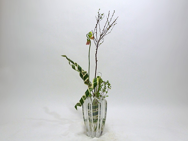 2014年2月26日水曜日、福島県郡山市・菅野草苑（かんのそうえん）教室で学ぶ樋口苑澪さんの作品