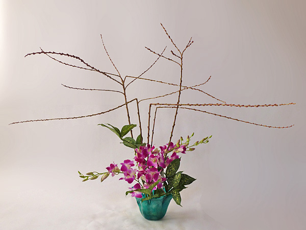 2014年2月14日金曜日、福島県郡山市・菅野草苑（かんのそうえん）さんの作品