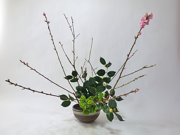 2014年2月21日金曜日、福島県郡山市・菅野草苑（かんのそうえん）さんの作品