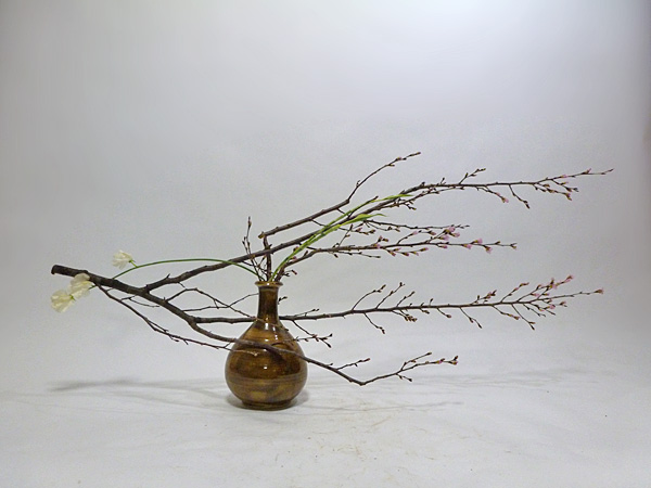 2014年2月10日月曜日、福島県郡山市・菅野草苑（かんのそうえん）教室で学ぶ樋口苑諷さんの作品