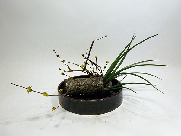 2014年2月27日木曜日、福島県郡山市・菅野草苑（かんのそうえん）教室で学ぶ樋口苑諷さんの作品