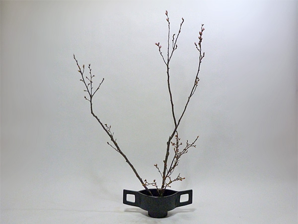 2014年2月7日金曜日、福島県郡山市・菅野草苑（かんのそうえん）教室で学ぶ円谷友子さんの作品