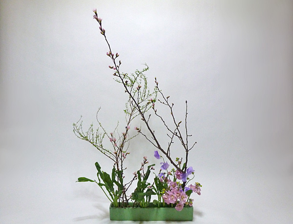 2014年1月29日水曜日、福島県郡山市・菅野草苑（かんのそうえん）教室で学ぶ七海彩夏さんの作品