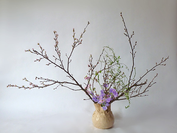 2014年1月31日金曜日、福島県郡山市・菅野草苑（かんのそうえん）さんの作品