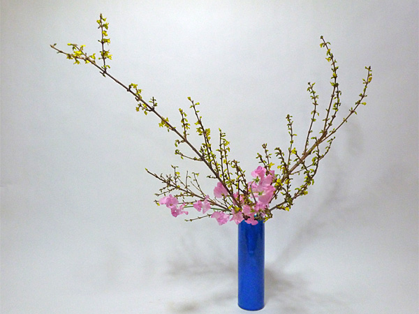 2014年1月22日水曜日、福島県郡山市・菅野草苑（かんのそうえん）教室で学ぶ石本草佳さんの作品