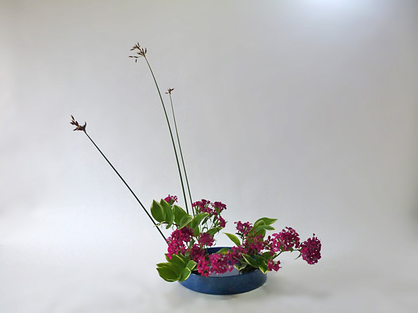 2014年7月2日水曜日、福島県郡山市・菅野草苑（かんのそうえん）教室で学ぶ秋元かなえさんの作品