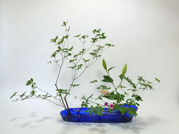 2014年7月11日金曜日、福島県郡山市・菅野草苑（かんのそうえん）教室で学ぶ大河原喜恵さんの作品