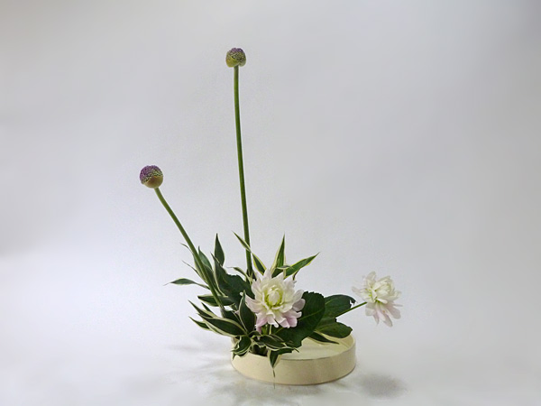 2014年6月13日金曜日、福島県郡山市・菅野草苑（かんのそうえん）教室で学ぶ佐藤知佳さんの作品