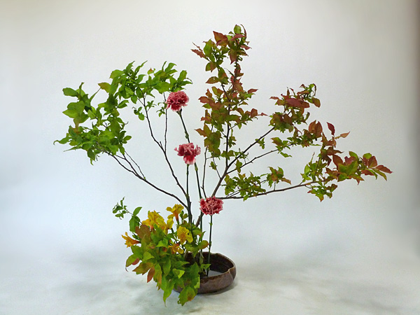 2014年6月10日火曜日、福島県郡山市・菅野草苑（かんのそうえん）教室で学ぶ国分華苑さんの作品