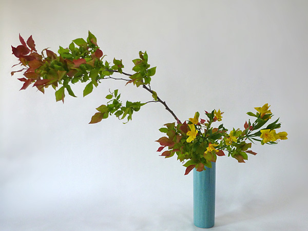 2014年6月9日月曜日、福島県郡山市・菅野草苑（かんのそうえん）教室で学ぶ秋元かなえさんの作品