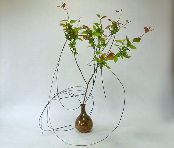 2014年6月18日水曜日、福島県郡山市・菅野草苑（かんのそうえん）教室で学ぶ円谷友子さんの作品