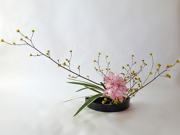 2014年3月26日水曜日、福島県郡山市・菅野草苑（かんのそうえん）教室で学ぶ遠山ハツ子さんの作品