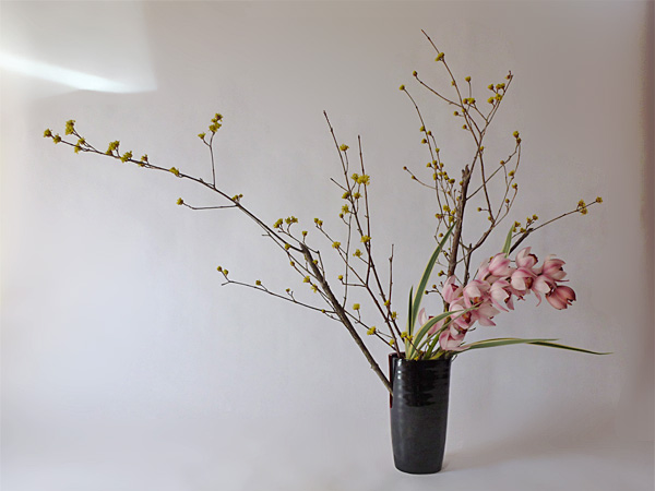 2014年3月25日火曜日、福島県郡山市・菅野草苑（かんのそうえん）教室で学ぶ秋元寛子さんの作品