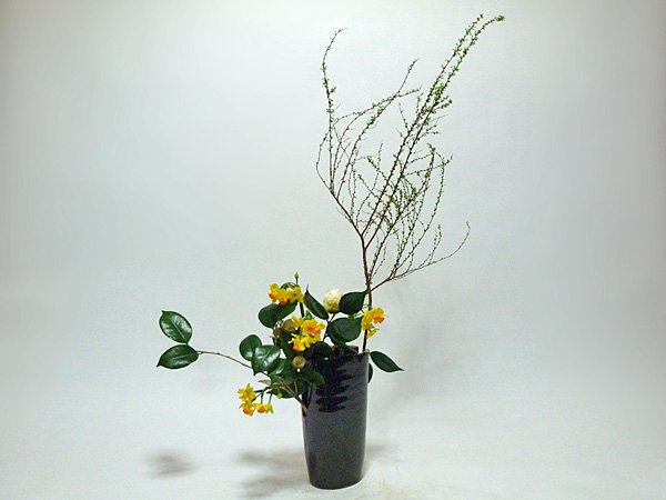 2014年3月4日火曜日、福島県郡山市・菅野草苑（かんのそうえん）教室で学ぶ国分華苑さんの作品