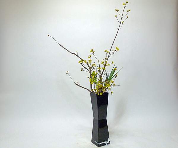 2014年3月31日月曜日、福島県郡山市・菅野草苑（かんのそうえん）教室で学ぶ国分華苑さんの作品