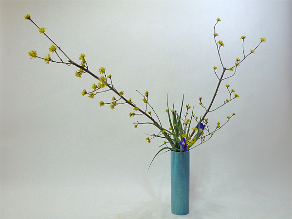 2014年3月27日木曜日、福島県郡山市・菅野草苑（かんのそうえん）教室で学ぶ秋元かなえさんの作品