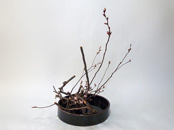 2014年3月13日木曜日、福島県郡山市・菅野草苑（かんのそうえん）教室で学ぶ大河原喜恵さんの作品