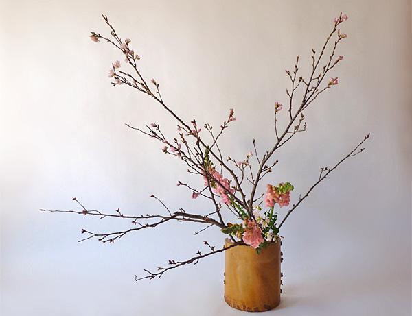 2014年3月11日火曜日、福島県郡山市・菅野草苑（かんのそうえん）さんの作品