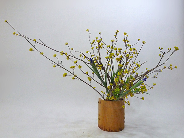 2014年3月21日金曜日、福島県郡山市・菅野草苑（かんのそうえん）さんの作品