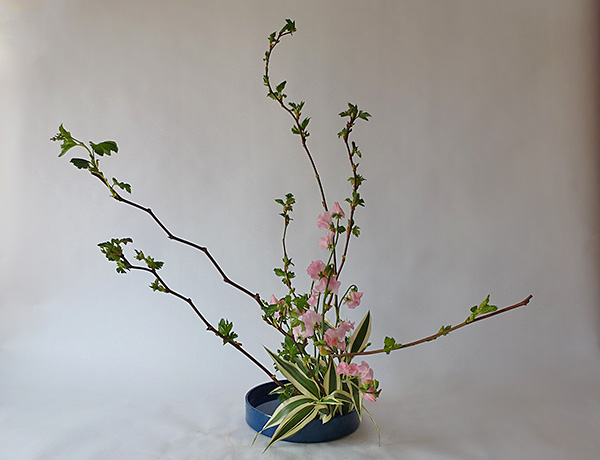 2014年5月7日水曜日、福島県郡山市・菅野草苑（かんのそうえん）教室で学ぶ秋元寛子さんの作品