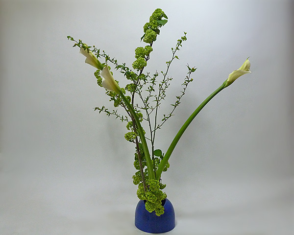 2014年5月13日火曜日、福島県郡山市・菅野草苑（かんのそうえん）教室で学ぶ国分華苑さんの作品