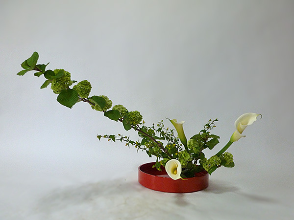 2014年5月21日水曜日、福島県郡山市・菅野草苑（かんのそうえん）教室で学ぶ秋元かなえさんの作品