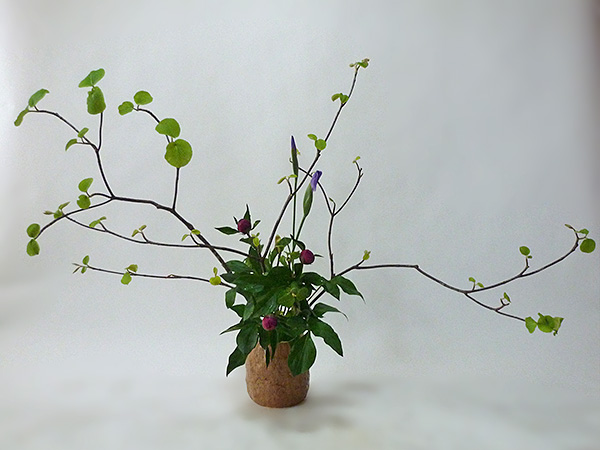 2014年5月16日金曜日、福島県郡山市・菅野草苑（かんのそうえん）教室で学ぶ菅野草苑さんの作品