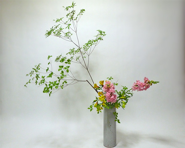 2014年5月29日木曜日、福島県郡山市・菅野草苑（かんのそうえん）教室で学ぶ谷村滋穂さんの作品