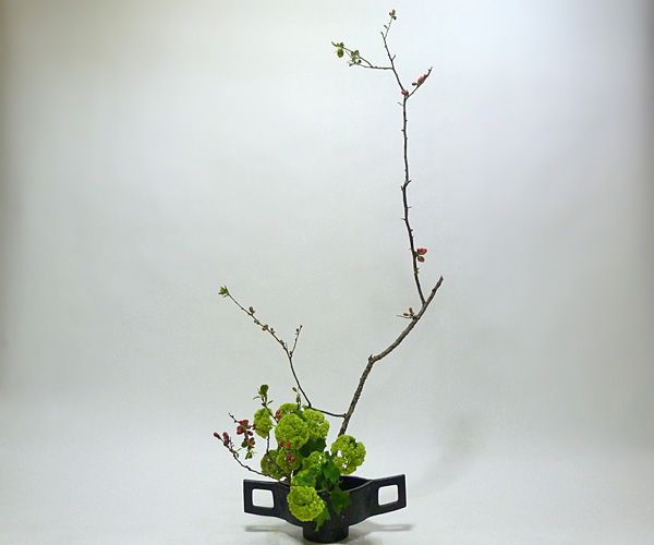 2014年5月28日水曜日、福島県郡山市・菅野草苑（かんのそうえん）教室で学ぶ円谷友子さんの作品