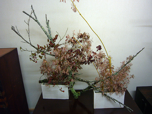 2014年11月12日水曜日、福島県郡山市・菅野草苑（かんのそうえん）教室で学ぶ遠山ハツ子さんの作品