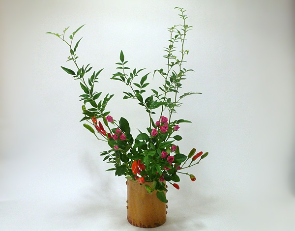 2014年11月24日月曜日、福島県郡山市・菅野草苑（かんのそうえん）教室で学ぶ菅野草苑さんの作品