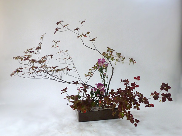 2014年11月19日水曜日、福島県郡山市・菅野草苑（かんのそうえん）教室で学ぶ本間草葵さんの作品