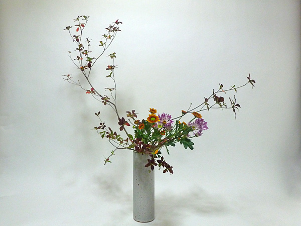 2014年11月20日木曜日、福島県郡山市・菅野草苑（かんのそうえん）教室で学ぶ谷村滋穂さんの作品