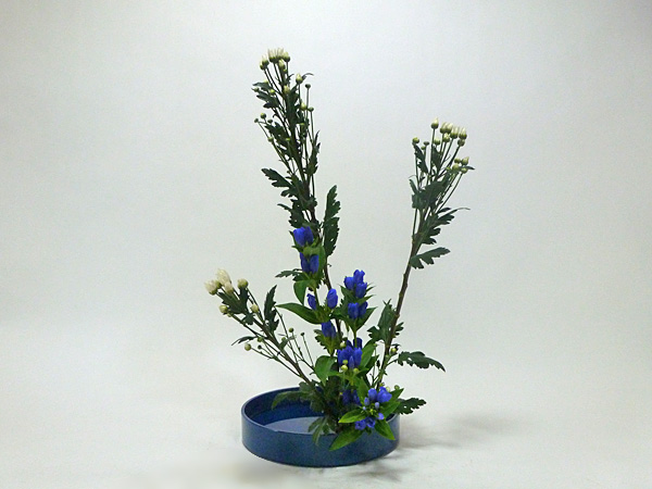 2014年10月2日木曜日、福島県郡山市・菅野草苑（かんのそうえん）教室で学ぶ佐藤知佳さんの作品