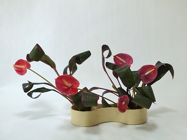 2014年9月10日水曜日、福島県郡山市・菅野草苑（かんのそうえん）教室で学ぶ遠山ハツ子さんの作品