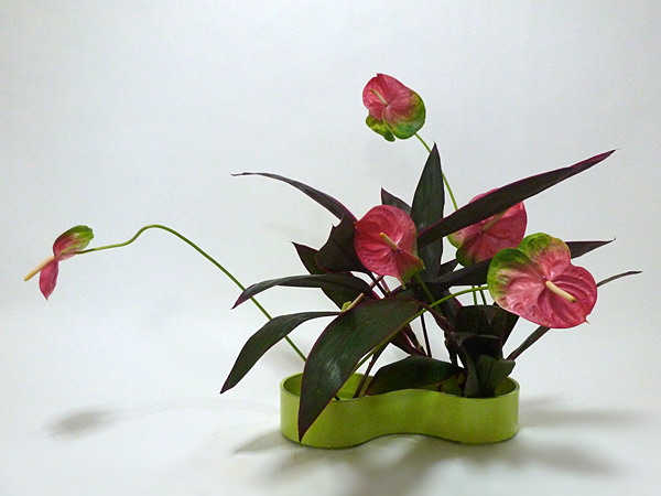 2014年9月16日火曜日、福島県郡山市・菅野草苑（かんのそうえん）教室で学ぶ石本草佳さんの作品