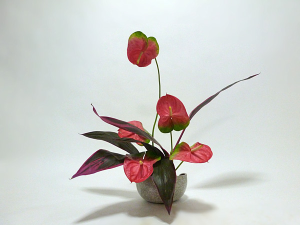 2014年9月11日木曜日、福島県郡山市・菅野草苑（かんのそうえん）教室で学ぶ谷村滋穂さんの作品