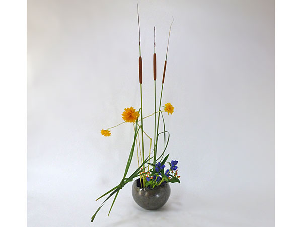 2015年8月7日金曜日、福島県郡山市・菅野草苑（かんのそうえん）さんの作品