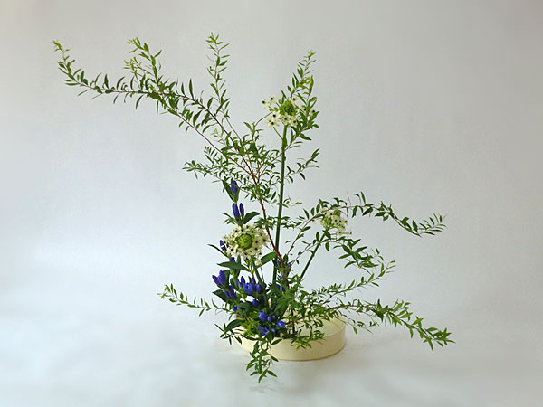 2015年8月20日木曜日、福島県郡山市・菅野草苑（かんのそうえん）教室で学ぶ本間草葵さんの作品