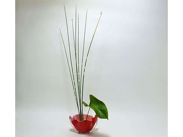 2015年8月13日木曜日、福島県郡山市・菅野草苑（かんのそうえん）教室で学ぶ円谷友子さんの作品