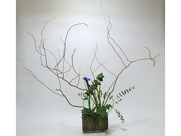 2015年12月11日金曜日、福島県郡山市・菅野草苑（かんのそうえん）さんの作品