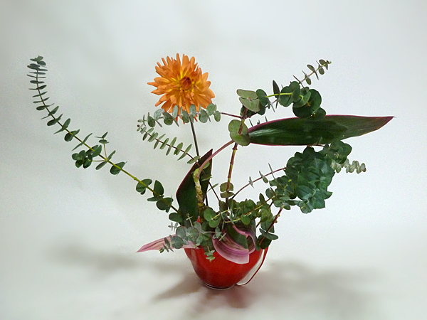 2015年12月18日金曜日、福島県郡山市・菅野草苑（かんのそうえん）さんの作品