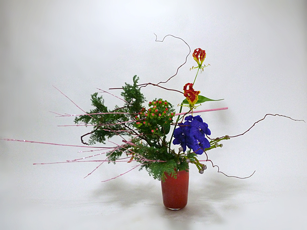 2015年12月31日木曜日、福島県郡山市・菅野草苑（かんのそうえん）さんの作品