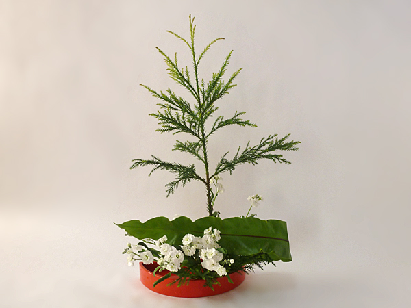 2015年12月1日火曜日、福島県郡山市・菅野草苑（かんのそうえん）教室で学ぶ本間草葵さんの作品