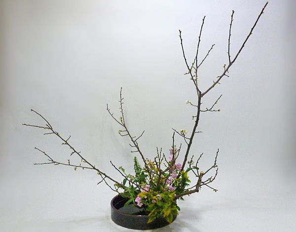 2015年2月10日火曜日、福島県郡山市・菅野草苑（かんのそうえん）教室で学ぶ根本流苑（和良）さんの作品