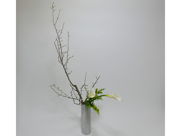 2015年2月9日月曜日、福島県郡山市・菅野草苑（かんのそうえん）教室で学ぶ谷村滋穂さんの作品