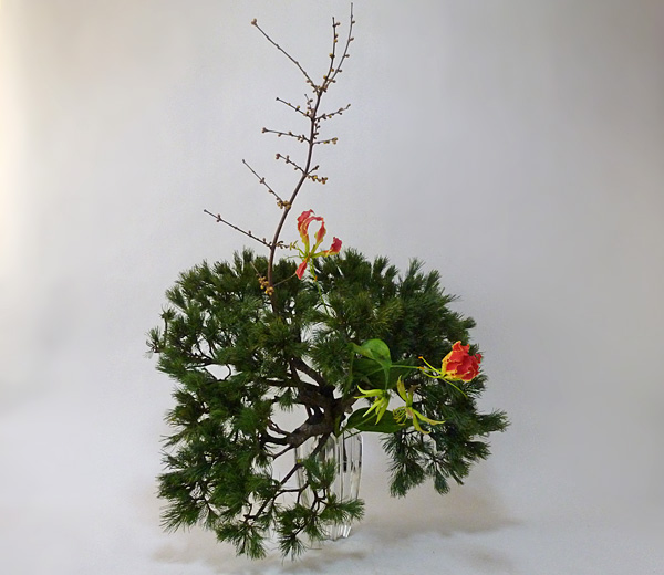 2015年1月12日月曜日、福島県郡山市・菅野草苑（かんのそうえん）教室で学ぶ菅野草苑さんの作品