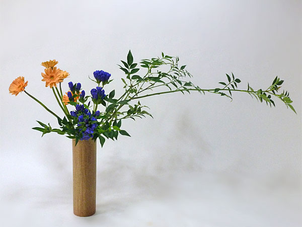 2015年7月13日月曜日、福島県郡山市・菅野草苑（かんのそうえん）教室で学ぶ秋元かなえさんの作品