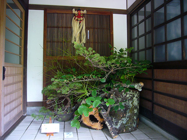 2015年7月3日金曜日、福島県郡山市・菅野草苑（かんのそうえん）さんの作品