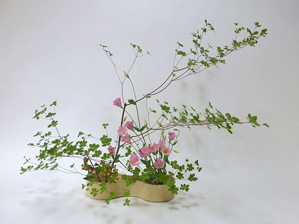 2015年7月28日火曜日、福島県郡山市・菅野草苑（かんのそうえん）教室で学ぶ本間草葵さんの作品